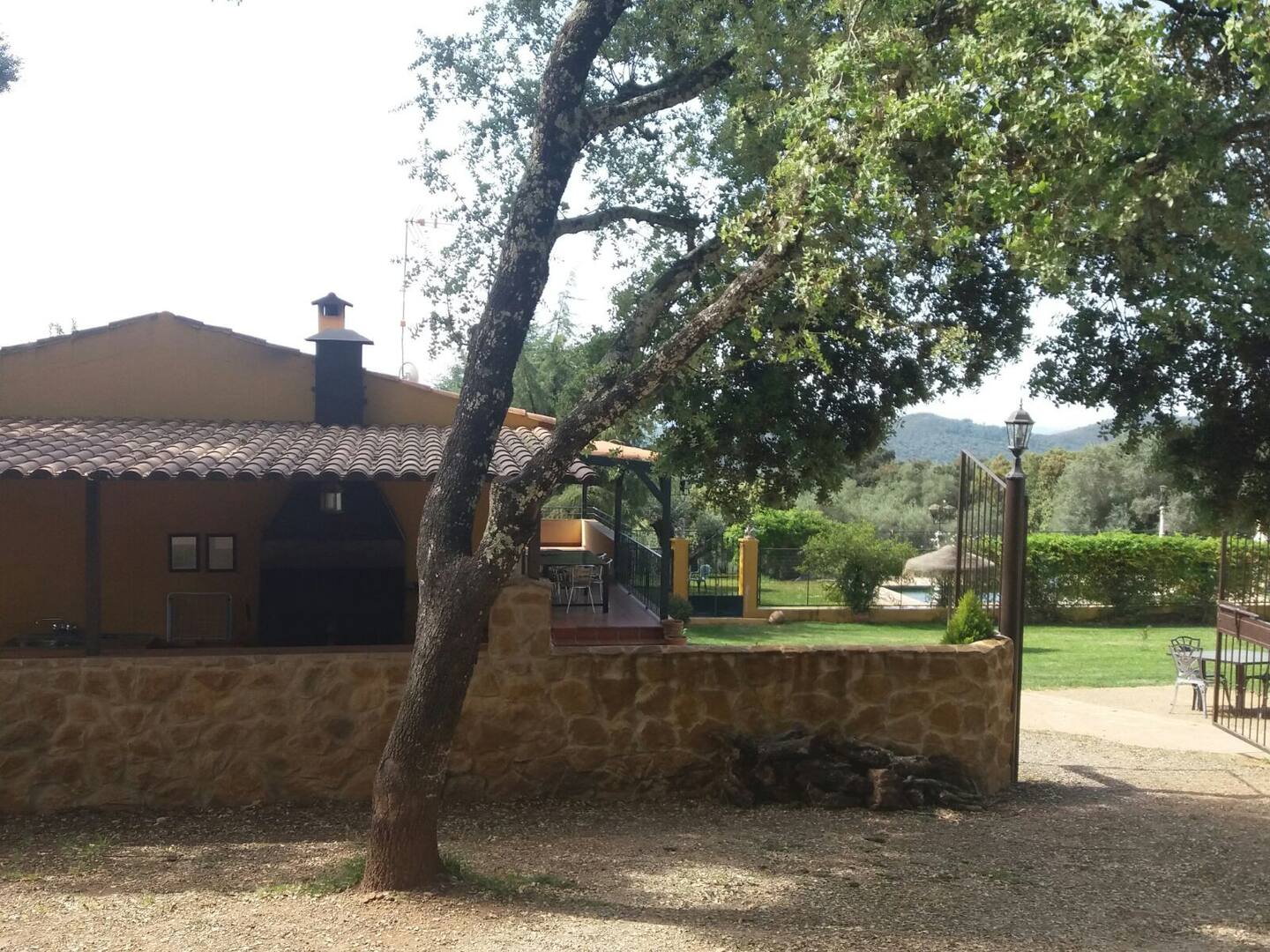 Foto